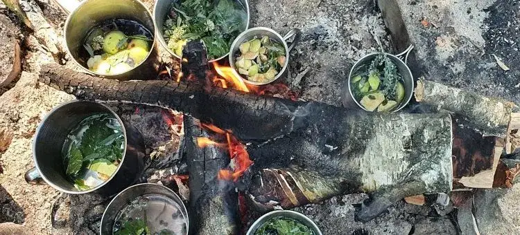 Jak zdobyć jedzenie w lesie - skuteczne metody dla przetrwania
