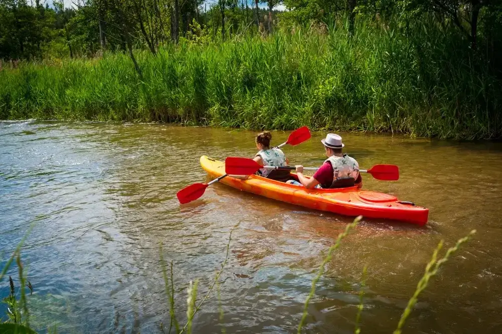 Cennik spływów kajakowych Zwierzyniec: Ile kosztuje przygoda?