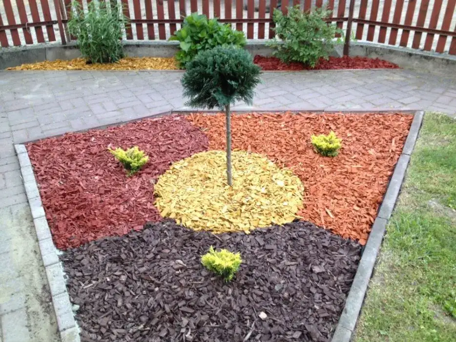 Mulcz dekoracyjny: Sekret pięknych doniczek i łatwej pielęgnacji