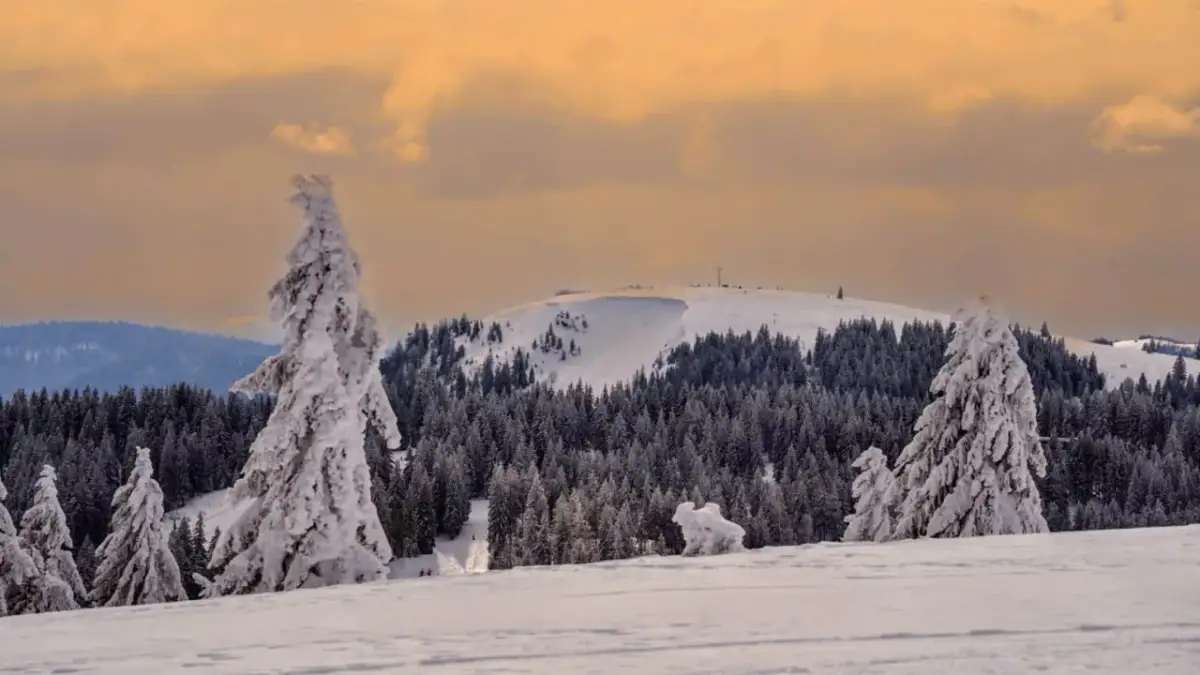 Schwarzwald höchste Berge: Feldberg, Belchen & Herzogenhorn entdecken