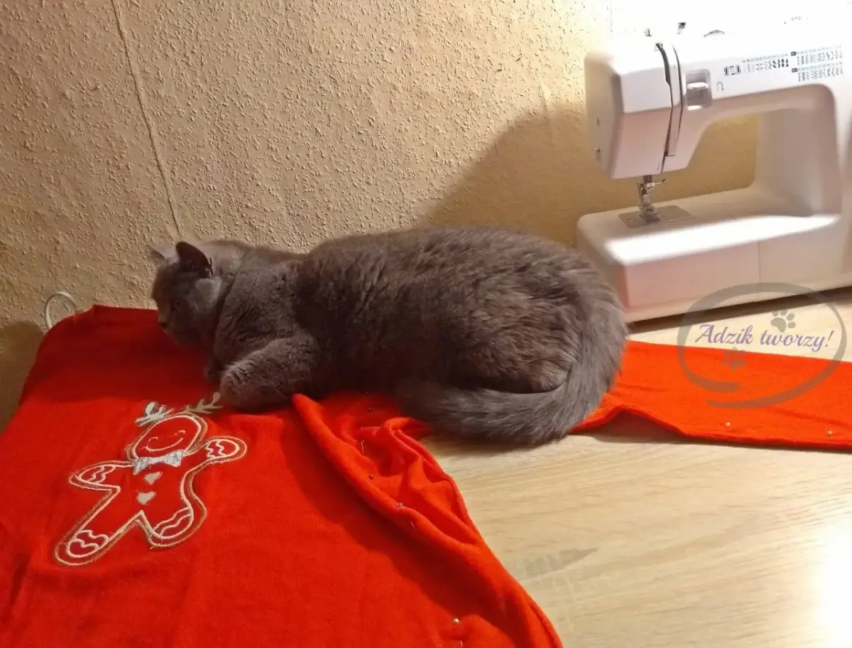 Przeróbka swetra na kardigan: Prościej niż myślisz! DIY