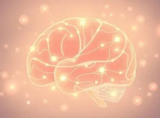 Depresja: Biologia, neuroprzekaźniki i nowe teorie. Co musisz wiedzieć?