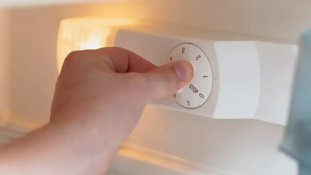 Jak ustawić temperaturę w zamrażarce Beko? Poradnik eksperta