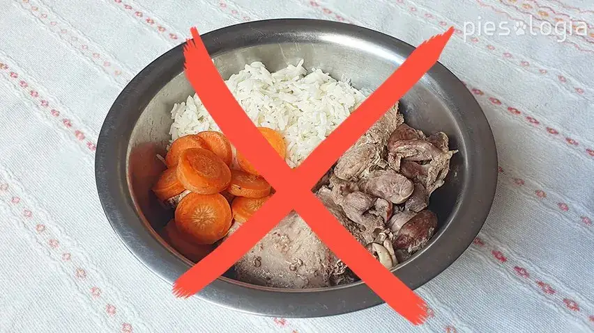 Wieprzowina dla psa: Gotuj 20-30 min! Bezpieczeństwo i dieta