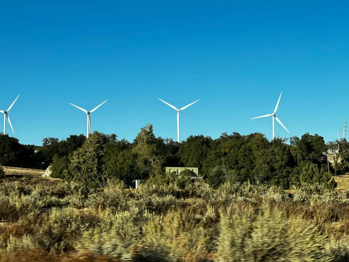 Grant OZE: Wypełnij wniosek bez błędów i zyskaj dofinansowanie
