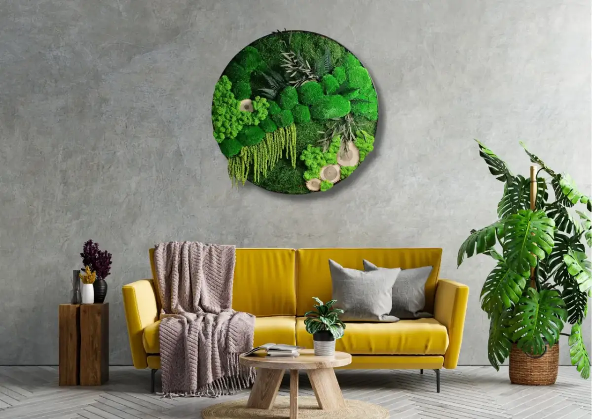 Odkryj mulcz dekoracyjny: sekret pięknych roślin i wnętrz