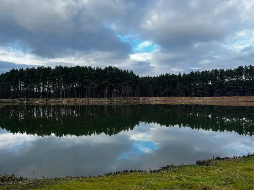 Łowisko Forest Lake: Tajniki sukcesu i karpie 20kg+?