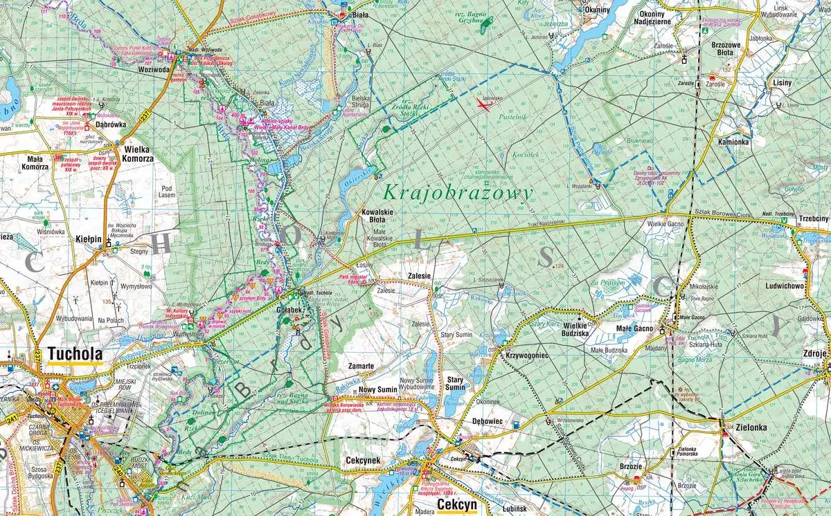 Trasy rowerowe Bory Tucholskie mapa – odkryj najlepsze szlaki rowerowe