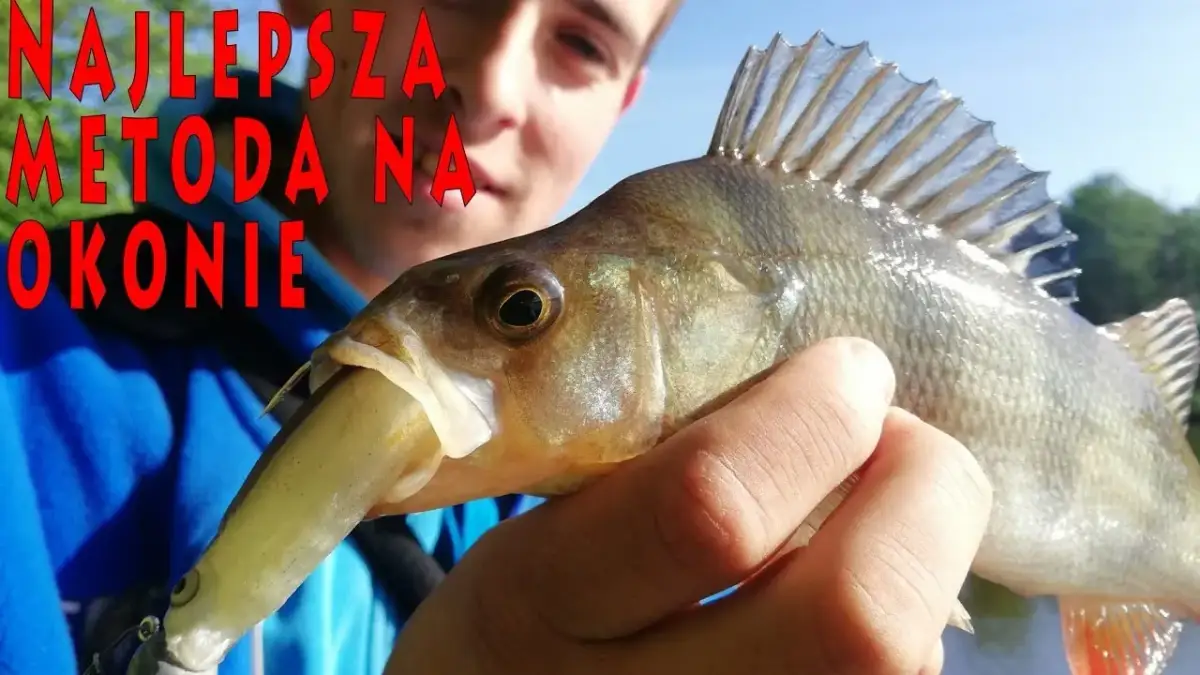 Jak złowić okonia na spinning - skuteczne techniki i porady