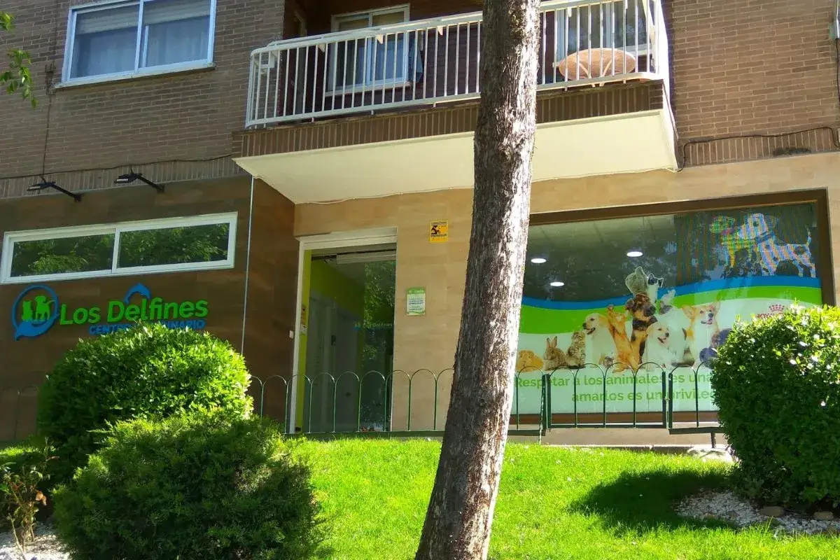 Veterinario Coslada: Mejores clínicas y servicios para tu mascota