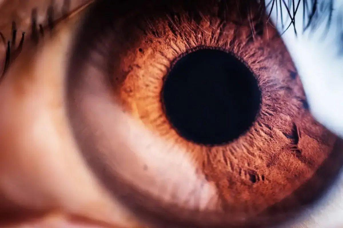 Jaskra czy zaćma - poznaj kluczowe różnice i objawy tych chorób