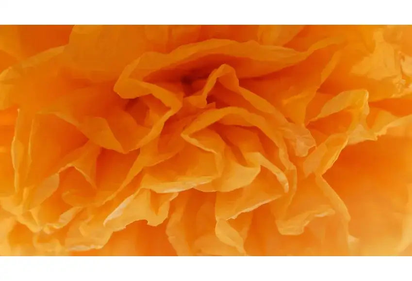 Kreatywne pomysły na to, co zrobić z bibuły z dzieckiem