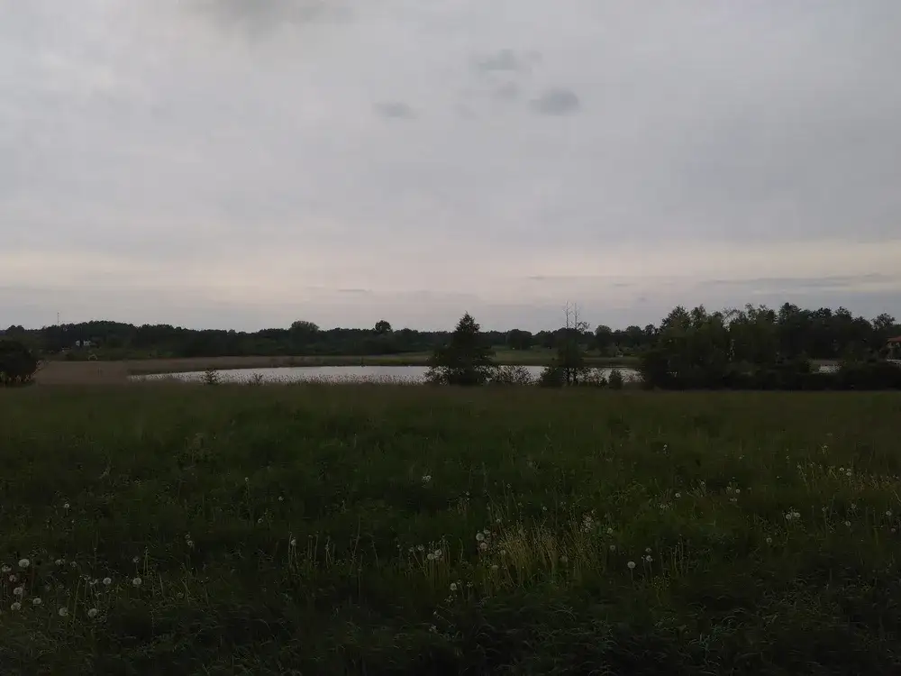 Jezioro Umultowskie – piękne miejsce na wędkowanie i relaks w Poznaniu