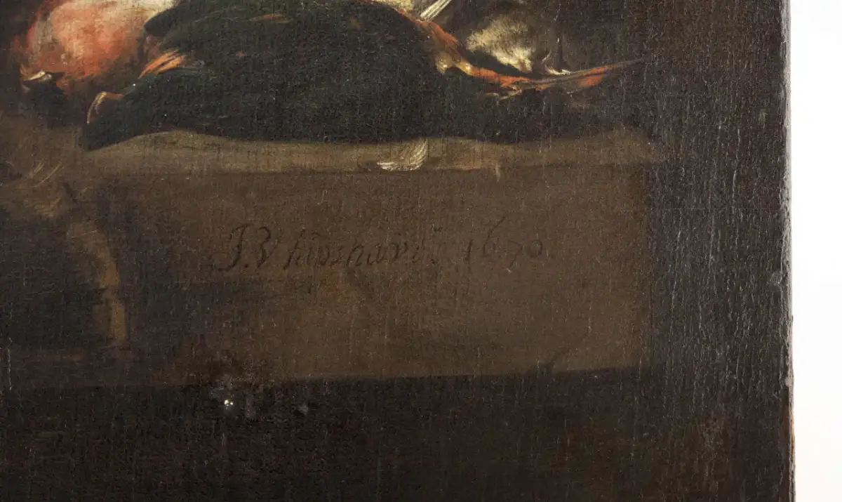 Jezioro Osieckie (Kujawsko-Pomorskie): Odkryj ukrytą perłę blisko Torunia