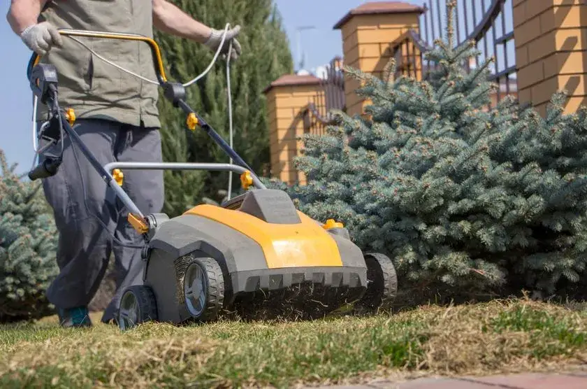 Wertykulacja: Ile Kosztuje za m2? Zadbaj o Zdrowy Trawnik Tanio