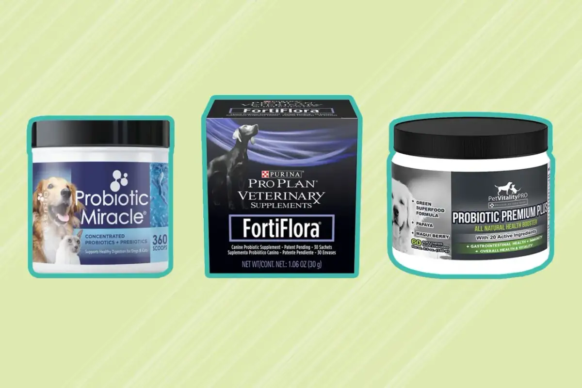 Szukasz, gdzie kupić probiotyk dla psa? Na zdjęciu trzy produkty: Probiotic Miracle, Purina FortiFlora i Probiotic Premium Plus.