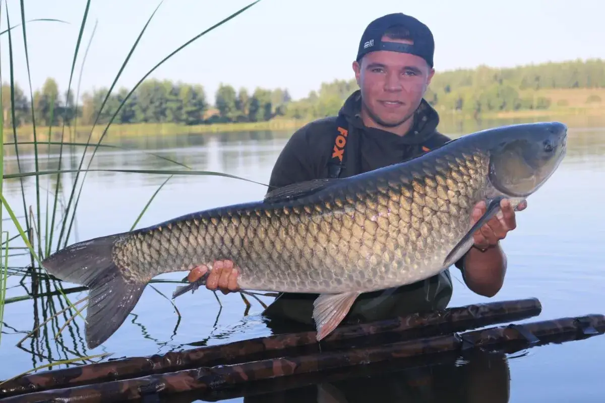 Jak szybko rośnie amur? Odkryj zaskakujące tempo wzrostu tej ryby