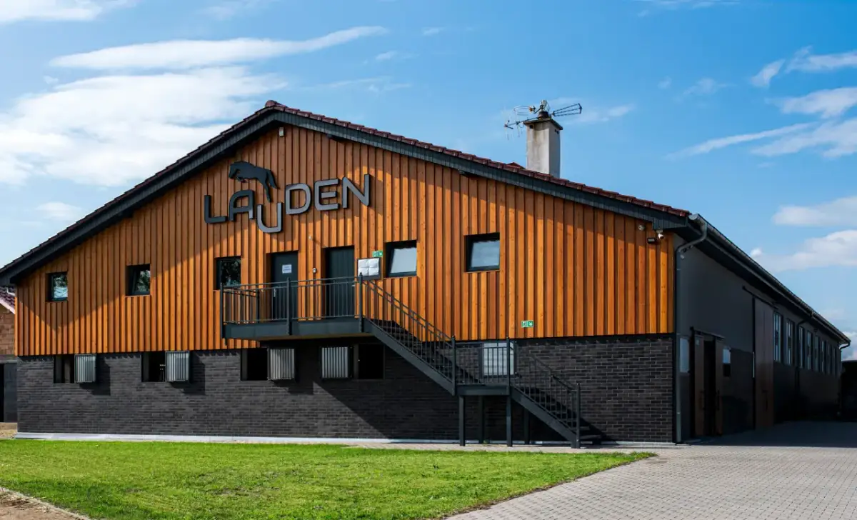 Najlepsze stadniny koni w Katowicach - usługi, opinie i lokalizacje