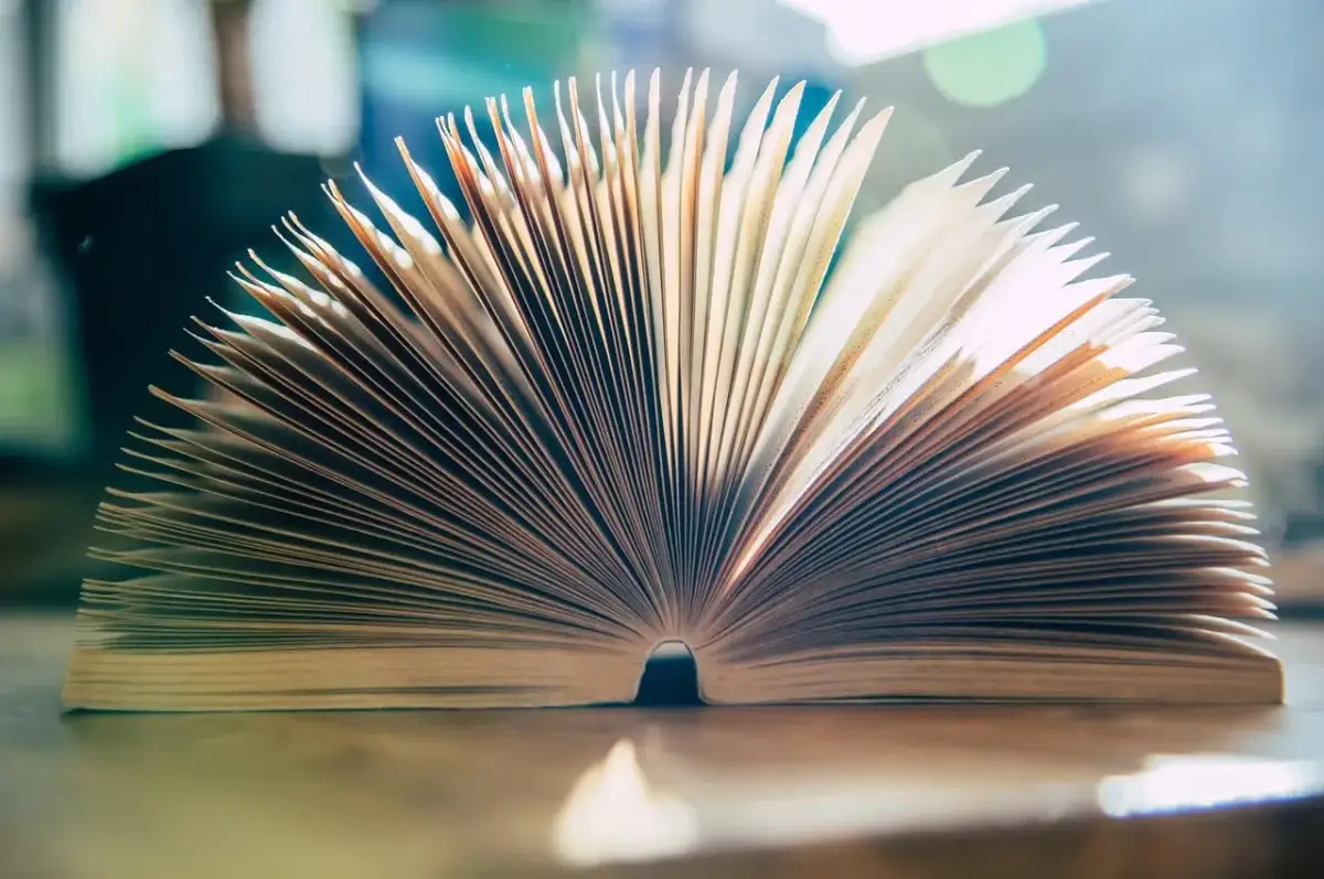 Jak literatura ukazuje problemy egzystencjalne i polityczne w życiu człowieka