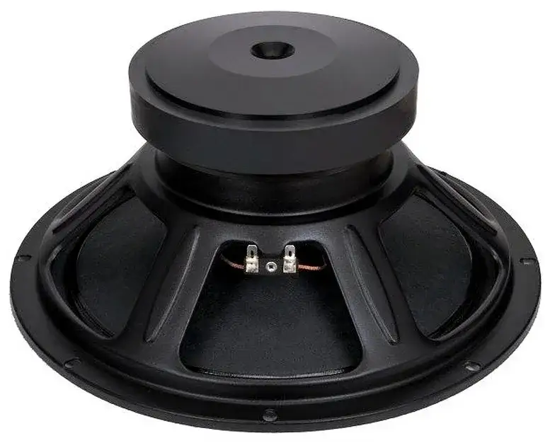 Głośnik estradowy 12 cali: Jak wybrać idealny? Poradnik