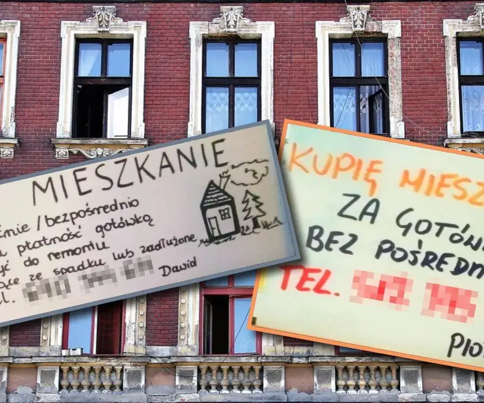 Nie daj się oszukać! Biura nieruchomości: Jak rozpoznać pułapki?