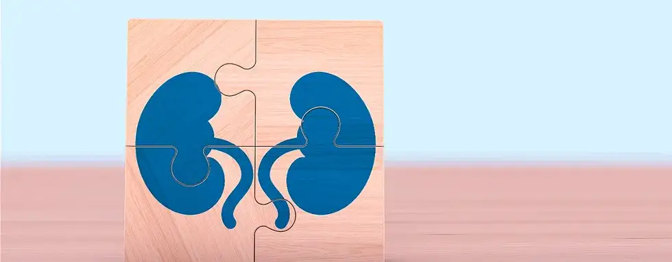 Wysoka kreatynina objawy: Jak je rozpoznać i co oznaczają?