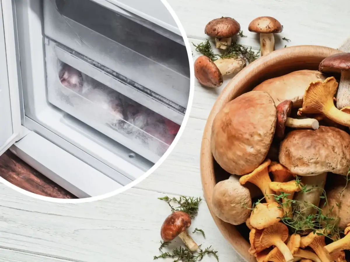 Mrożenie grzybów: Jak długo i jak mrozić, by smakowały rok?