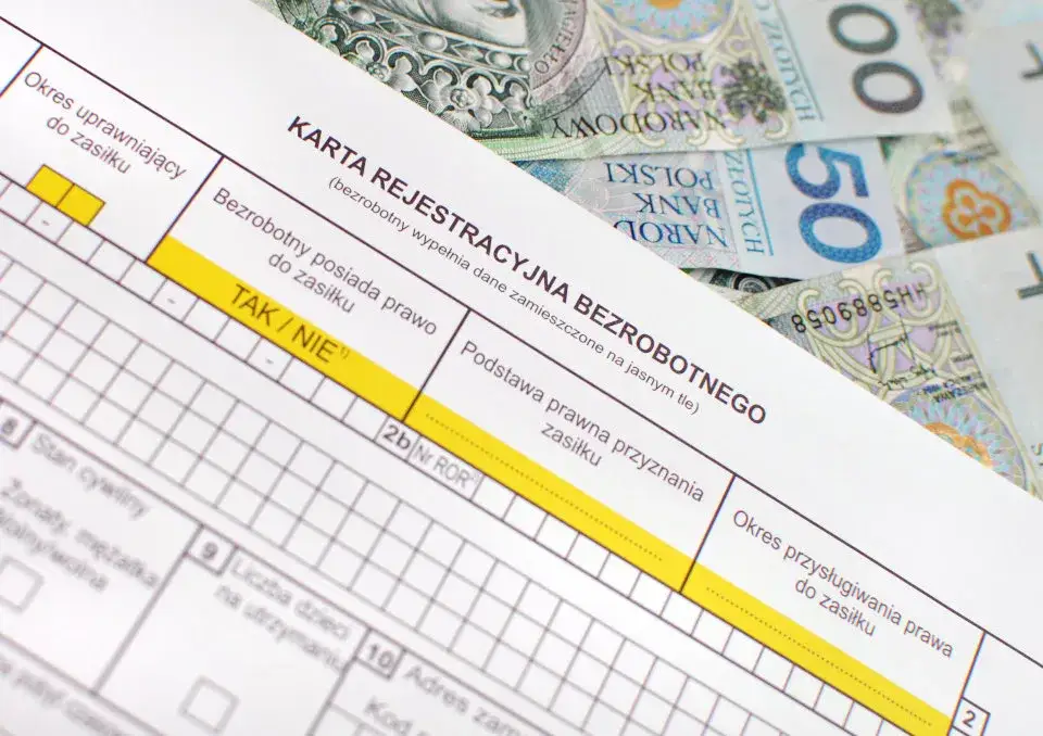 Zasiłek dla bezrobotnych po studiach - sprawdź, czy się należy i jak aplikować