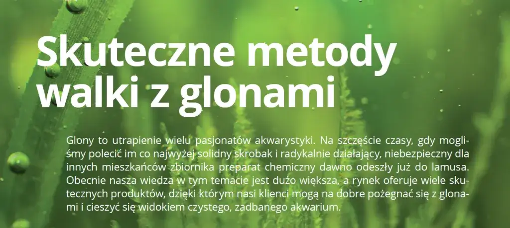 Skuteczne sposoby na usunięcie glonów z ozdób akwariowych