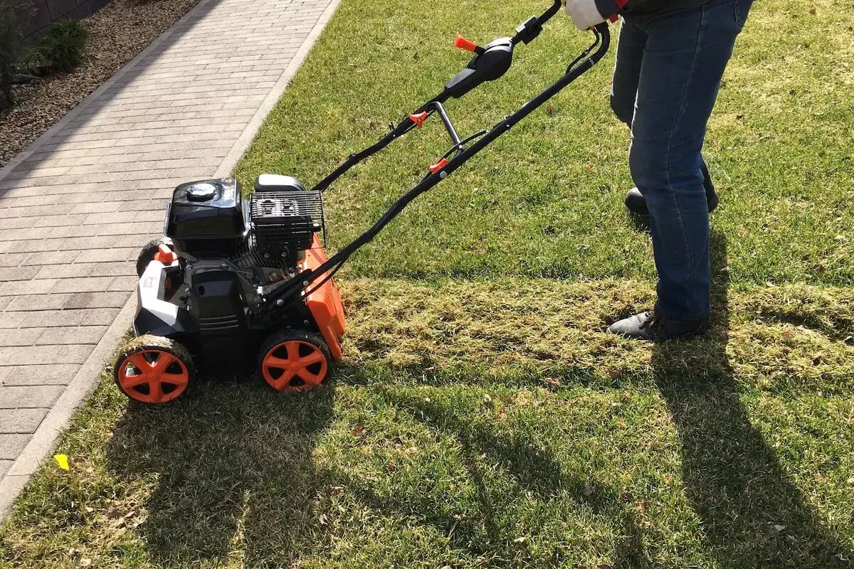 Kiedy nawóz po wertykulacji? Kluczowe porady, które musisz znać!