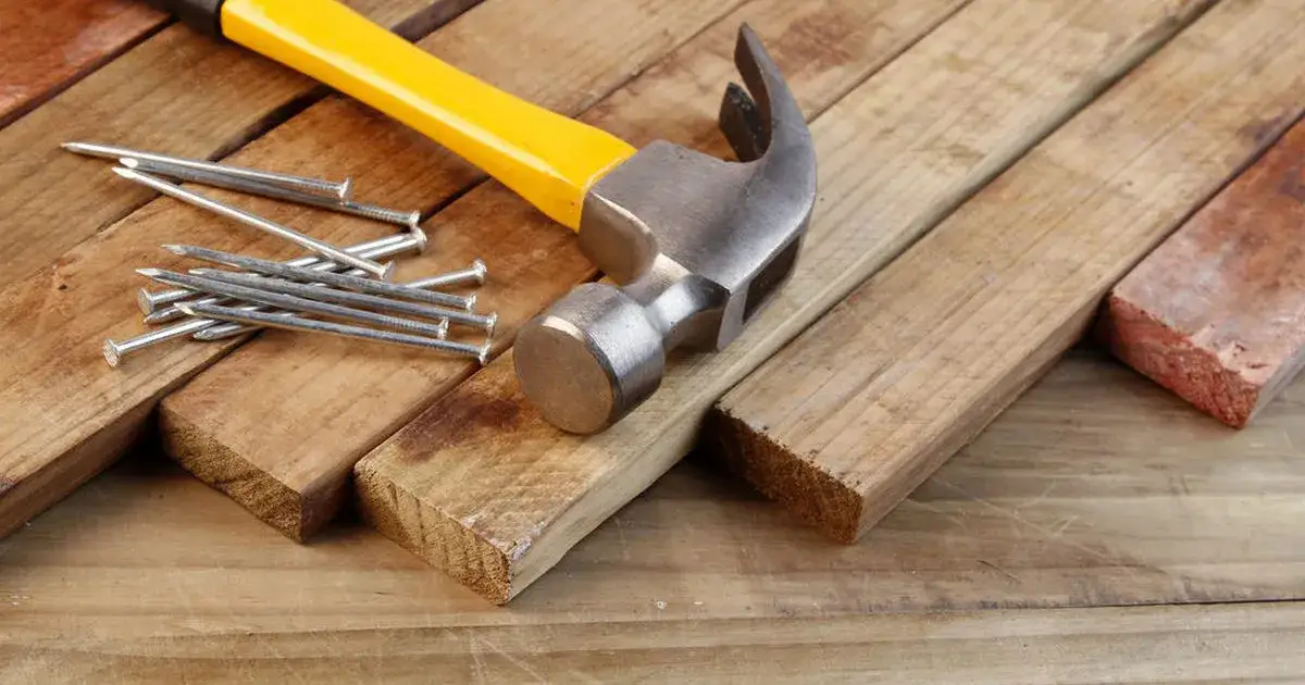 Czy można wbijać gwoździe w drzewo bez ryzyka dla jego zdrowia?