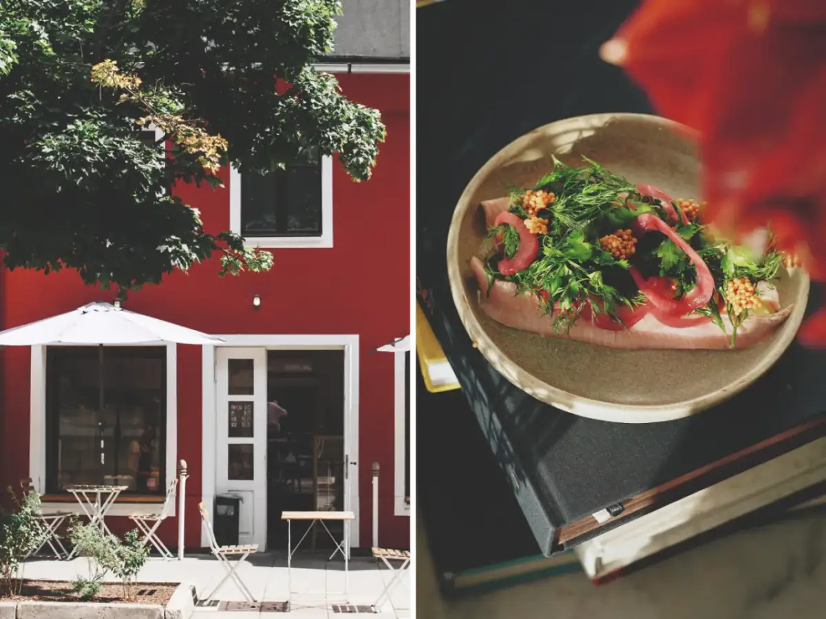 Kraków: Gdzie zjeść? Najlepsze restauracje i smaki miasta