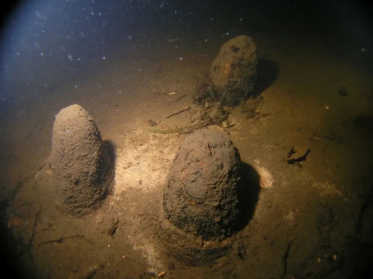 Bobięcino jezioro: odkryj tajemnice największego jeziora lobeliowego