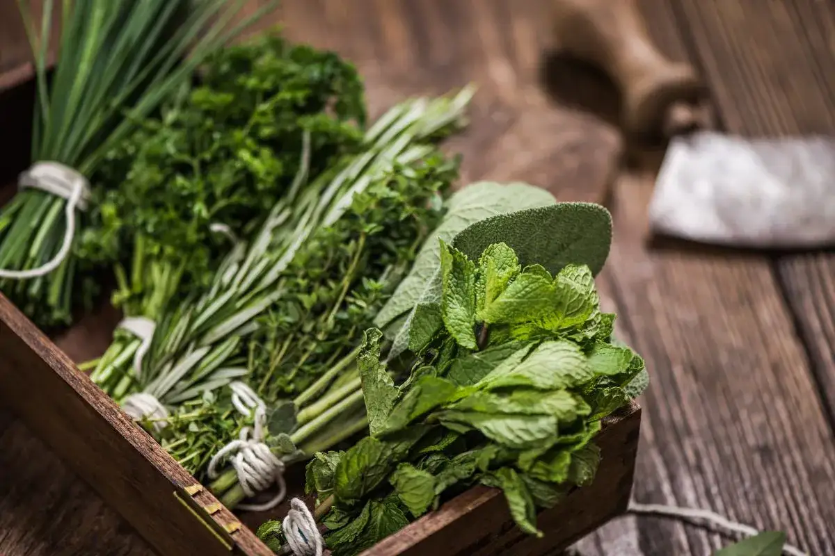 Co pić na ładną cerę? Odkryj eliksiry piękna od środka!