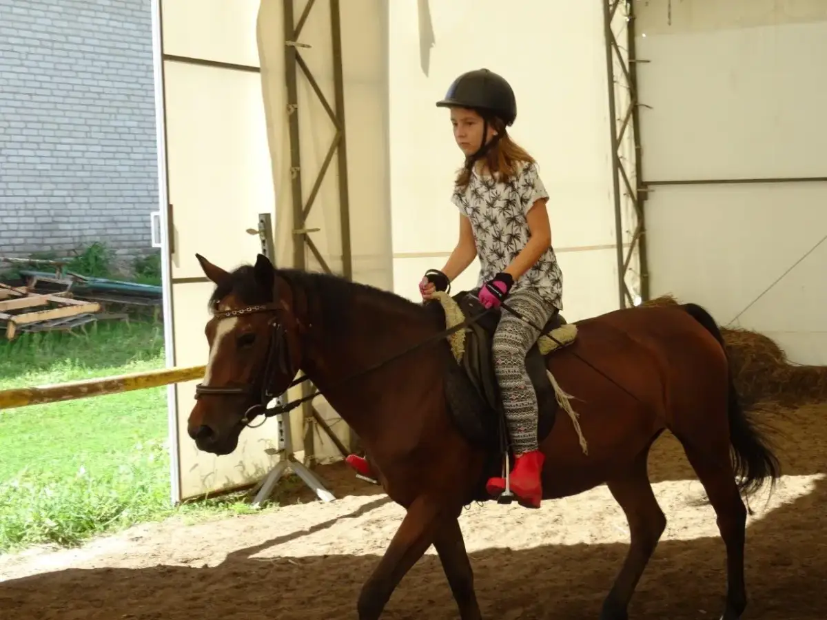 Klub jeździecki Lubliniec - nauka jazdy konnej dla każdego wieku