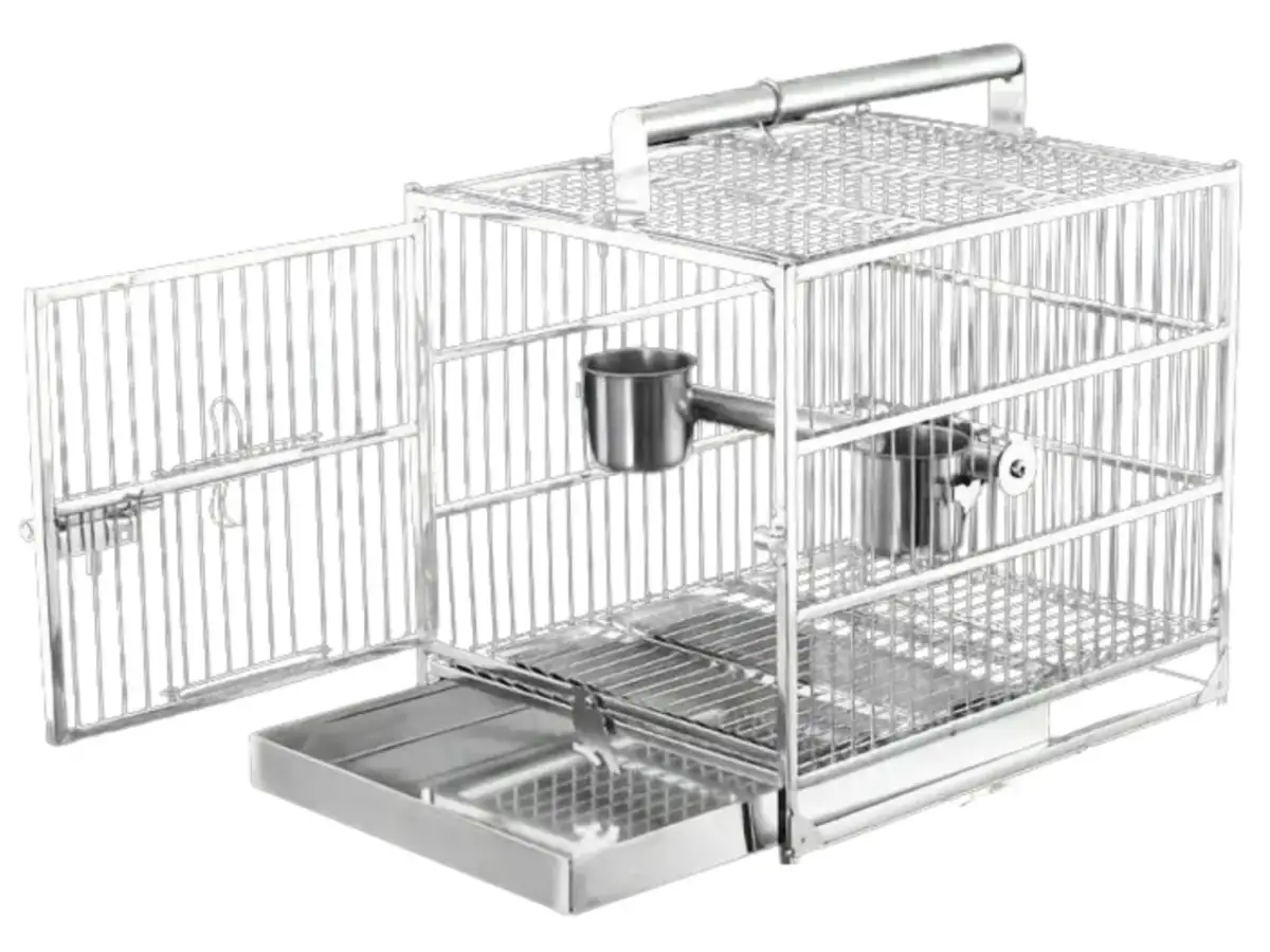 Transporter dla papugi: Jak wybrać bezpieczny i komfortowy?