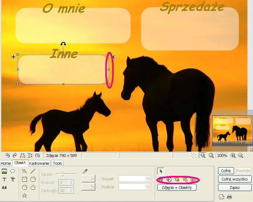 Jak zrobić prezentację HTML na Howrse i uniknąć najczęstszych błędów