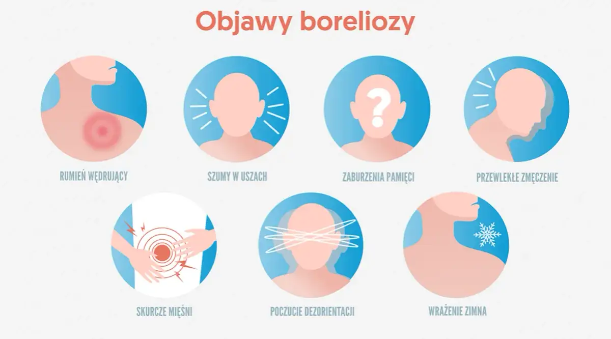 Objawy boreliozy u dzieci – co musisz wiedzieć, aby zareagować na czas