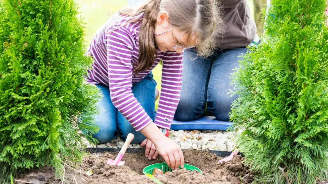 Jakie krzewy sadzimy jesienią, aby uniknąć problemów w przyszłości?