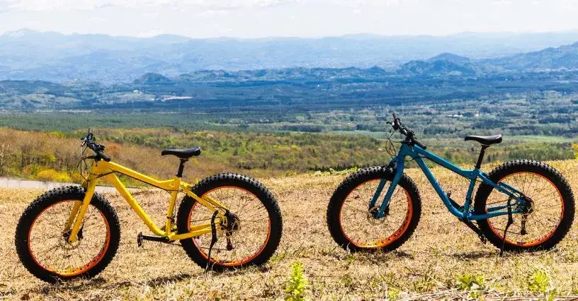 Czy rower MTB nadaje się na asfalt? Odkryj wady i zalety jazdy