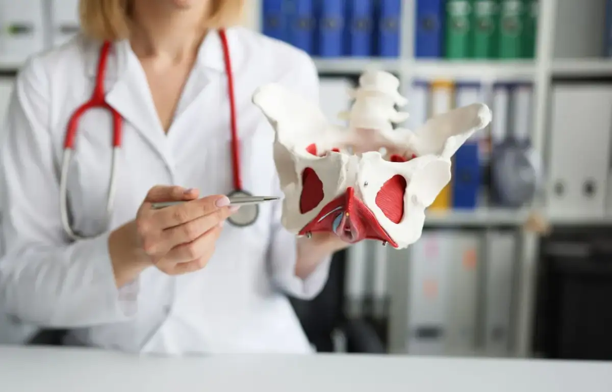 Lekarka pokazuje model miednicy, omawiając pęknięcie krocza 2 stopnia.