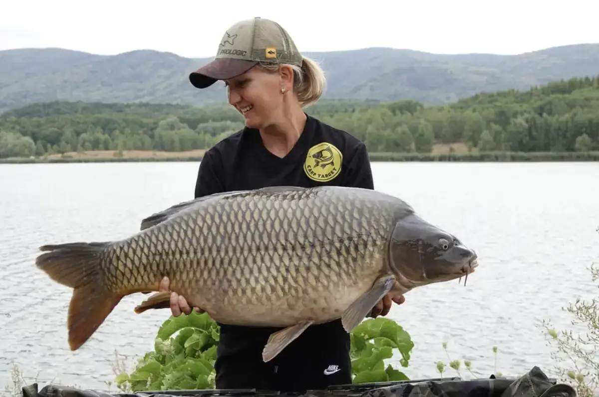 Sezon na karpia: Kiedy łowić, a kiedy kupić?