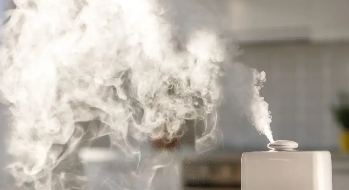 Nawilżacz powietrza: Zdrowie czy zagrożenie? Jak używać bezpiecznie.