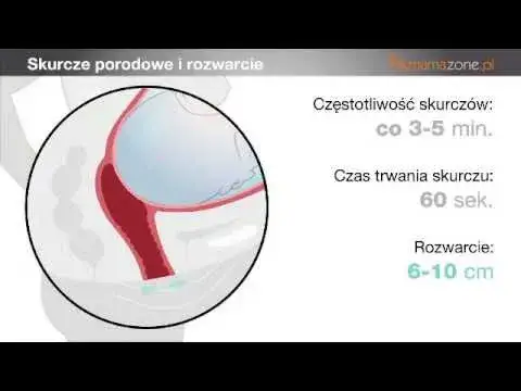 Masaż szyjki macicy przed porodem: czas trwania i korzyści