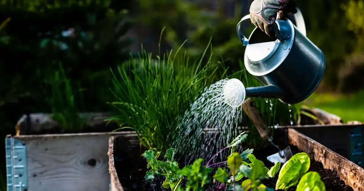 Jak uprawiać warzywa w skrzyniach – proste kroki do sukcesu w ogrodzie