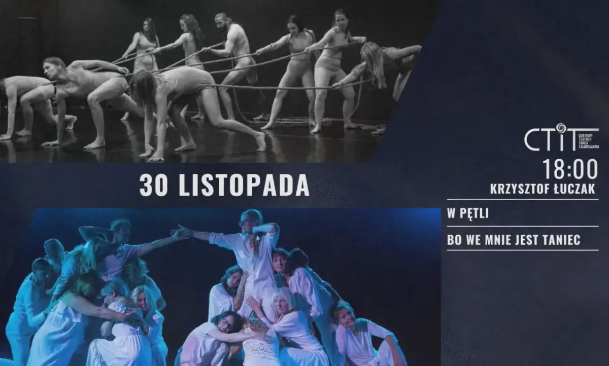 Tokowanie wróbli: sekrety zalotów, tańca i śpiewu zobacz to!