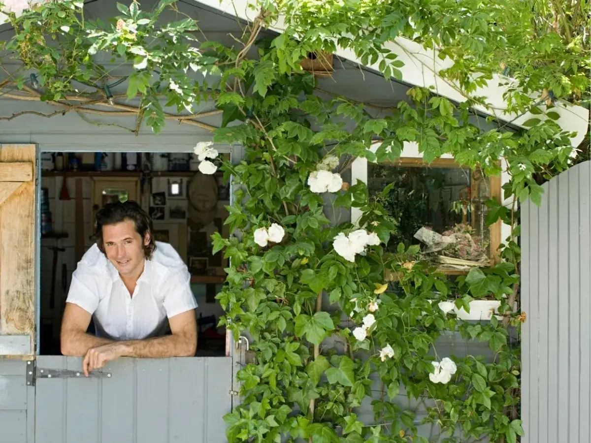 Jaki bluszcz na pergolę? Wybierz idealne pnącze do swojego ogrodu