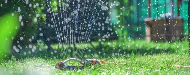 Jak działa zraszacz oscylacyjny? Budowa, regulacja i porady