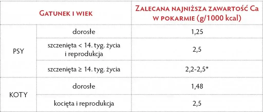 Objawy niedoboru wapnia u psa: Czy rozpoznasz sygnały alarmowe?