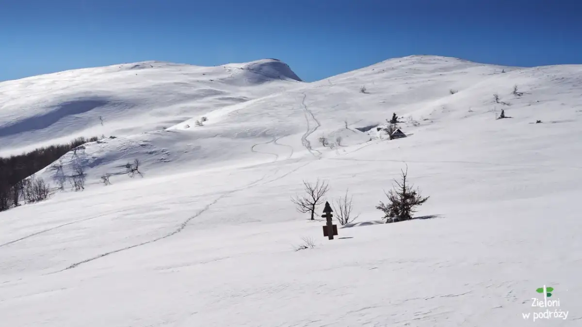 Tarnica zimą: Szlaki otwarte? Sprawdź, jak wejść bezpiecznie!